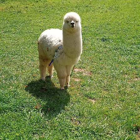 Chateau D'humieres - Casa Allegro 度假居 Humieres